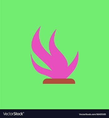 Seaweed icon vector image