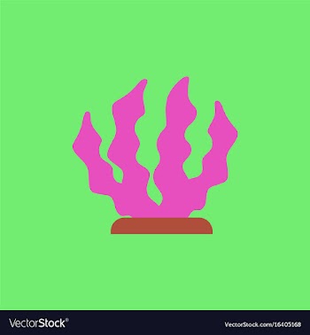 Seaweed icon vector image