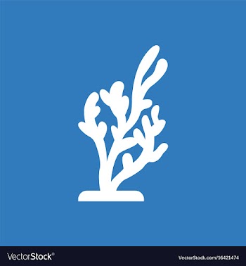 Seaweed icon vector image