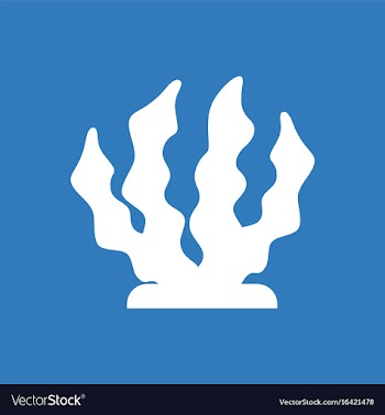 Seaweed icon vector image