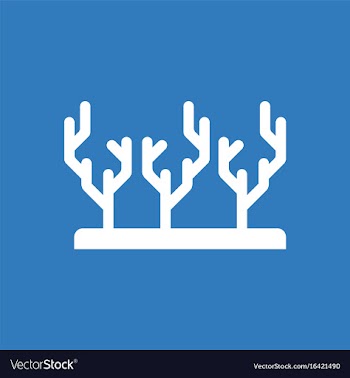 Seaweed icon vector image