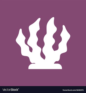 Seaweed icon vector image