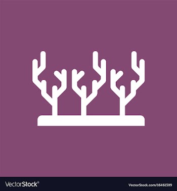 Seaweed icon vector image