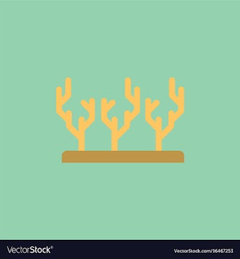 Seaweed icon vector image