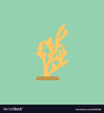 Seaweed icon vector image