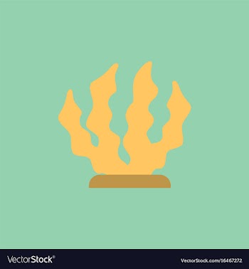 Seaweed icon vector image