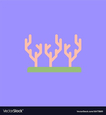 Seaweed icon vector image