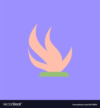 Seaweed icon vector image