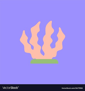 Seaweed icon vector image