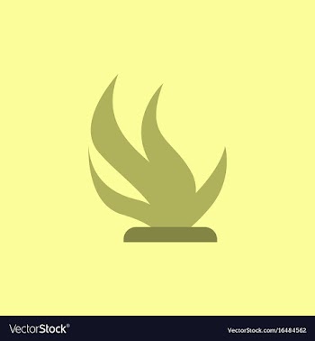 Seaweed icon vector image