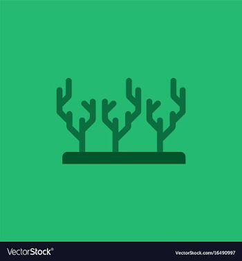 Seaweed icon vector image