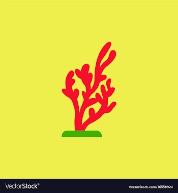 Seaweed icon vector image