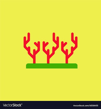 Seaweed icon vector image