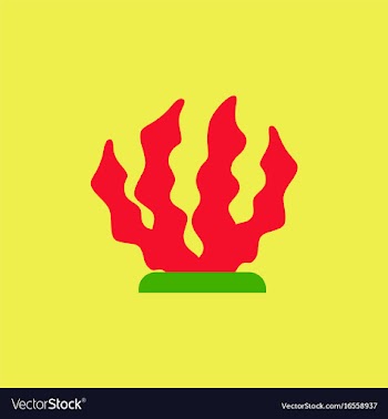 Seaweed icon vector image