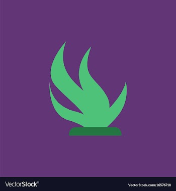 Seaweed icon vector image