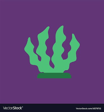 Seaweed icon vector image
