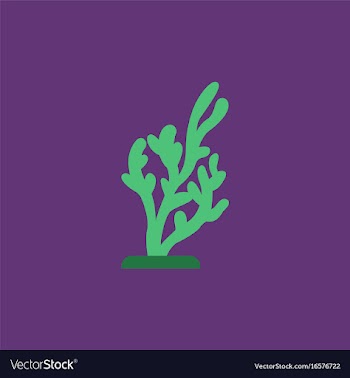 Seaweed icon vector image