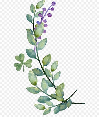 Second Life Wedding invitation Bride - Watercolor leaves blueberry decoration vector 
