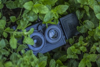 Security Camera Hidden Behind Plants