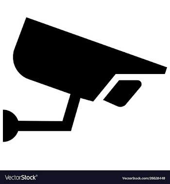 Security cemera icon vector image