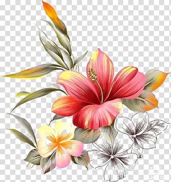 Sedbaru vaiku lopselis-darzelis Frames Animaatio, Hand Draw Flower transparent background PNG clipart