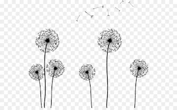 Seed Clip art - Dandelion silhouette vector 