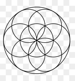 Seed Of Life PNG - seed-of-life-history seed-of-life-ideas seed-of ...