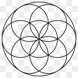 Seed Of Life PNG - seed-of-life-history seed-of-life-ideas seed-of ...