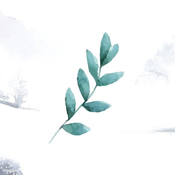 Seeded eucalyptus branch painted in watercolo.. | Free stock vector - 489181