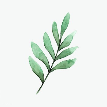 Seeded eucalyptus branch painted in watercolo.. | Free stock vector - 489211