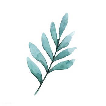Seeded eucalyptus branch painted in watercolo.. | Free stock vector - 489222