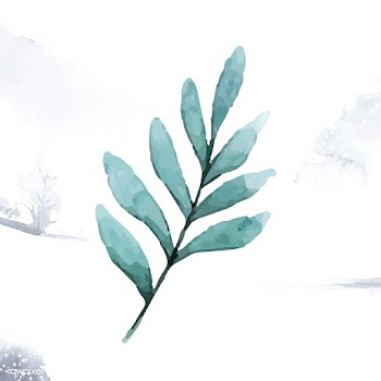 Seeded eucalyptus branch painted in watercolo.. | Free stock vector - 489246