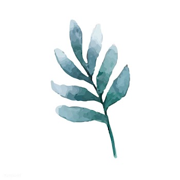 Seeded eucalyptus branch painted in watercolo.. | Free stock vector - 489274