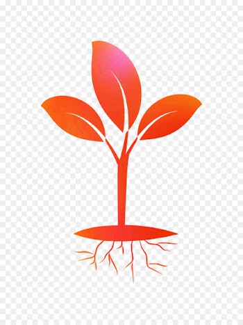 Seedling Clip art Root Portable Network Graphics Computer Icons -  