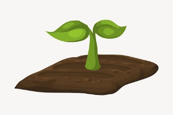 Seedling collage element, nature illustration | Free PSD - rawpixel