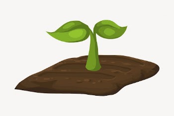 Seedling illustration. Free public domain | Free Photo - rawpixel
