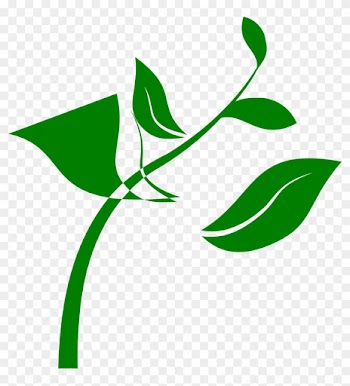 Seedling Plant Clip Art - Seedling Plant Clip Art
