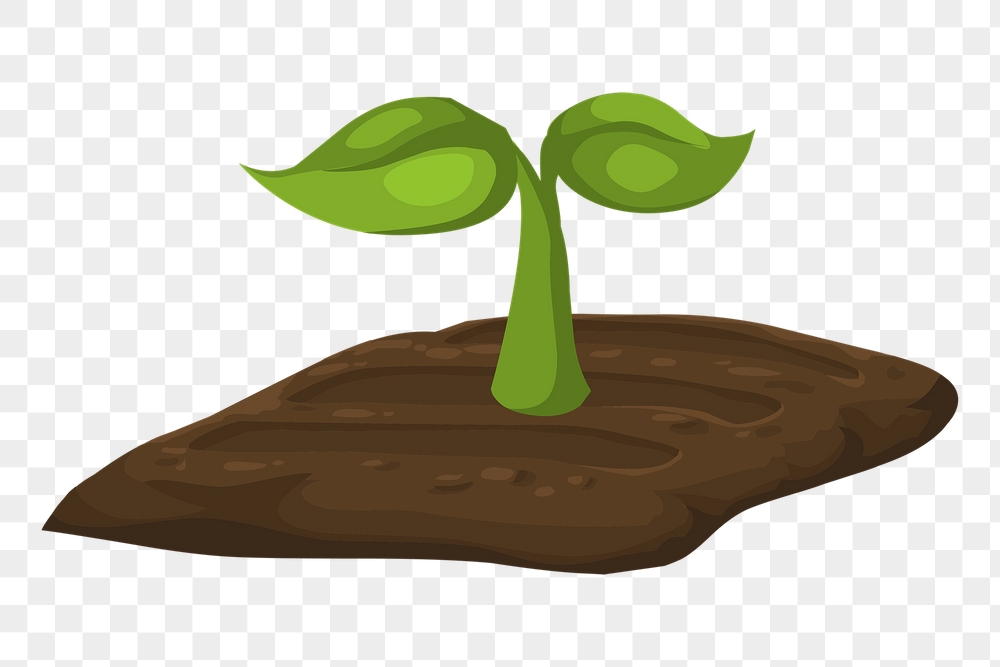 Seedling png sticker plant illustration, | Free PNG - rawpixel