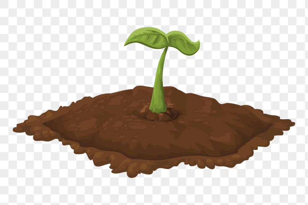 Seedling png sticker plant illustration, | Free PNG - rawpixel