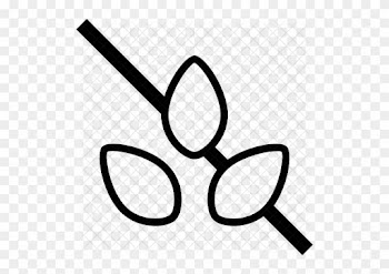 Seeds Icon - Food Allergy