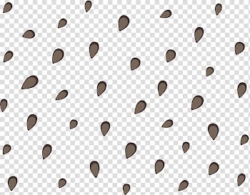 Seeds illustration, Line Angle Point, Watermelon seeds floating material transparent background PNG clipart