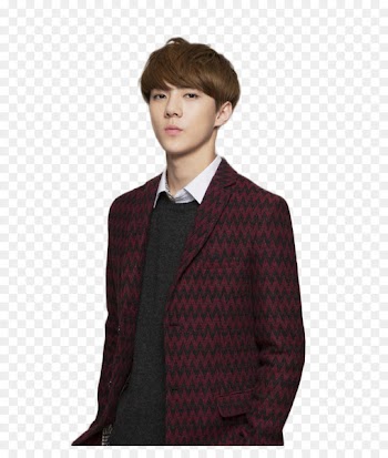 Sehun EXO Seoul Korean language K-pop - baekhyun banner 