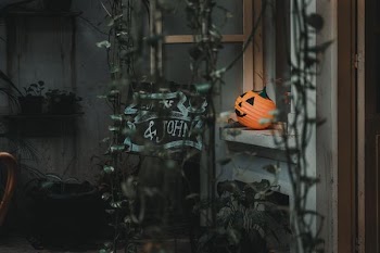 selective color hanging decor