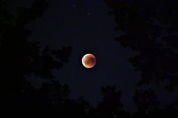 Selective Color Photography of Blood Moon
