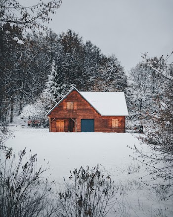Selective Color Photography of Brown House
