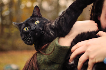 Selective Focus Close-up Photo of Person Carrying a Black Cat