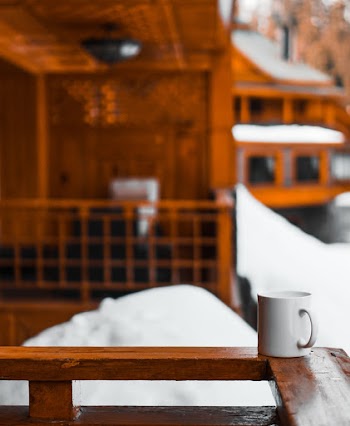 Selective Focus Photo of a White Mug on Brown Wooden Rail During Winter
