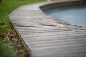 Selective Focus Photo of Boardwalk
