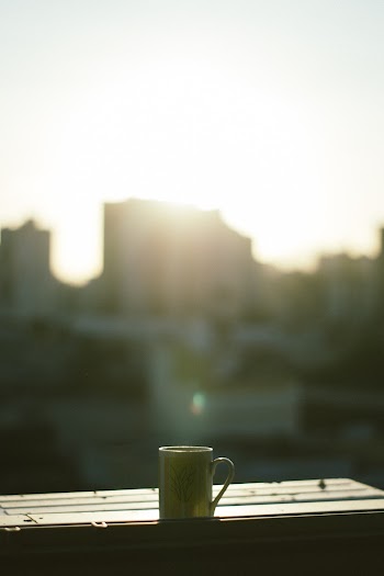 Selective Focus Photo of Cuo