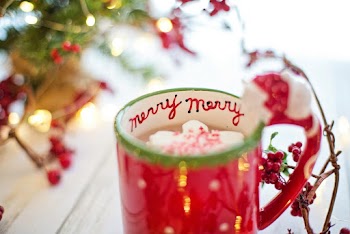 Selective Focus Photo Of Cup